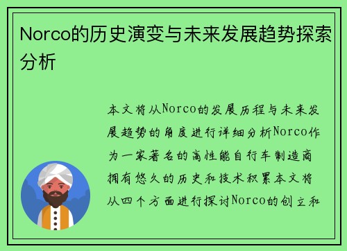 Norco的历史演变与未来发展趋势探索分析
