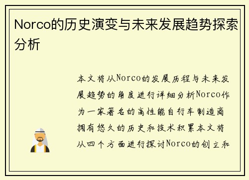 Norco的历史演变与未来发展趋势探索分析