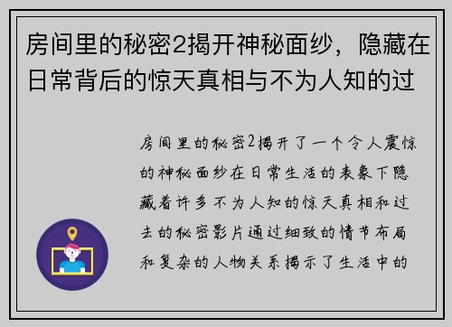 房间里的秘密2揭开神秘面纱，隐藏在日常背后的惊天真相与不为人知的过去